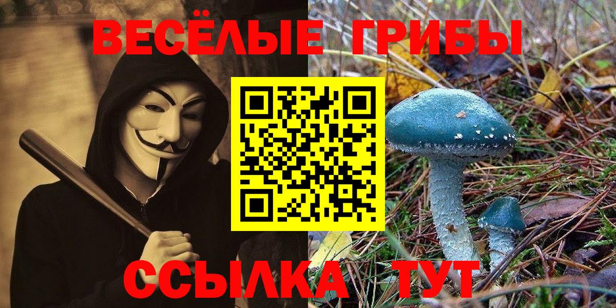 Копейск  Псилоцибиновые грибы Cubensis  Псилоцибиновые грибы GOLDEN TEACHER  Вход с VPN 